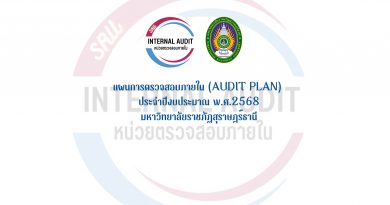 แผนการตรวจสอบภายใน (Audit Plan) ประจำปีงบประมาณ พ.ศ.2568